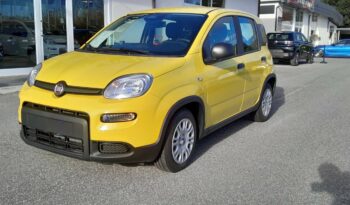 FIAT PANDA 1.0 70 CV HYBRID KM 0